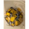 Image 2 : Bucket of locks and lockout mechanisms
