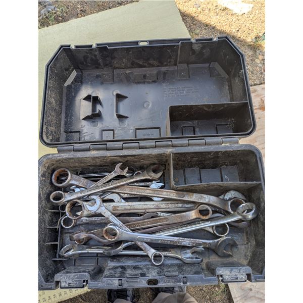 Plastic Dewalt case of assorted wrenches