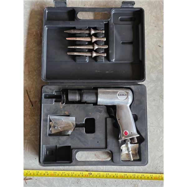 Eagle 6 piece air hammer and case