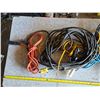 Image 2 : Lot of various extension cords