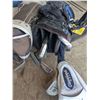 Image 2 : 2 golf bags with clubs