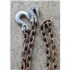 Image 2 : 5/16" logging chain, 16ft