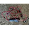 Image 3 : Winch with extra controller