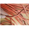 Image 5 : (2) Orange extension cords. (Untested) (Minor Cuts Seen, See Photos)