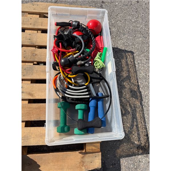 Exercise items