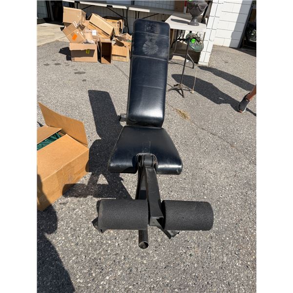 Nautilus Professional Workout Bench w/ Arm Curl Attachment