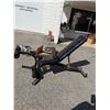 Image 2 : Nautilus Professional Workout Bench w/ Arm Curl Attachment