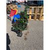 Image 1 : Decorative porch tree