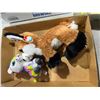 Image 1 : Stuffy's