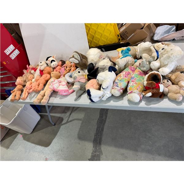 Dolls and stuffy's
