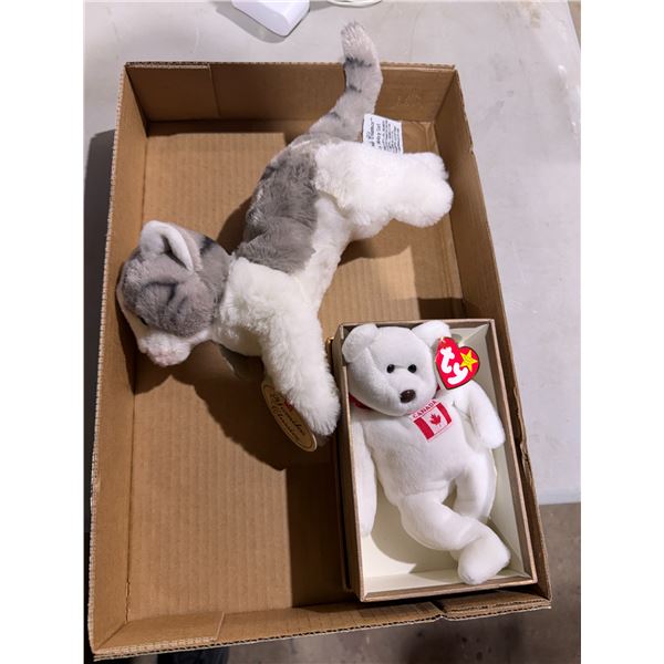 TY beanie baby and gray tabby cat
