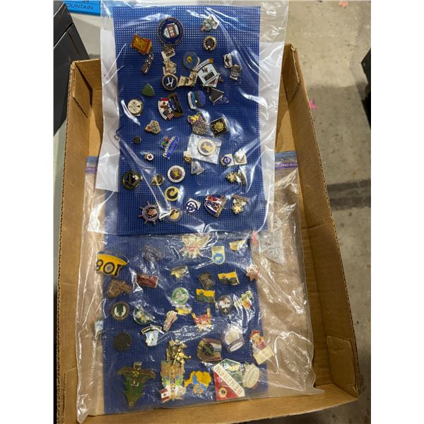 Assorted pins