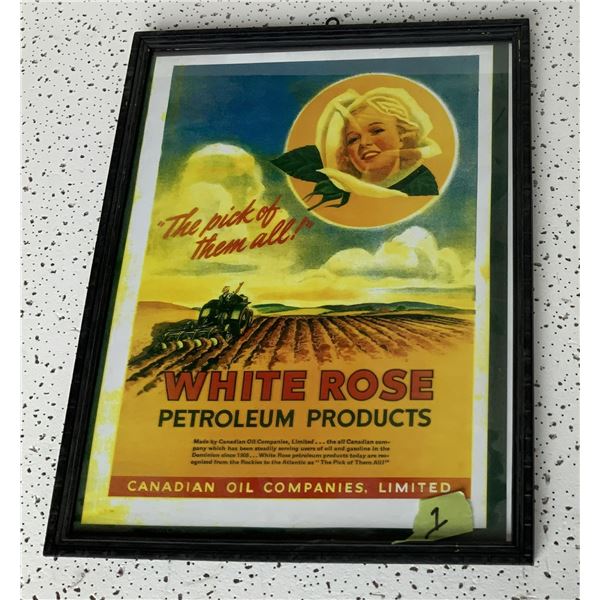 White Rose Framed Advertisement