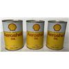 Image 1 : Three Areoshell Litres. Full