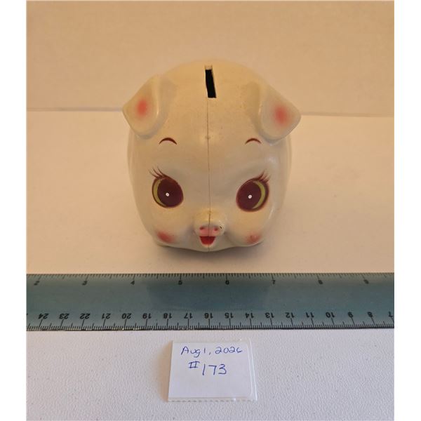 Credit Union Piggy Bank