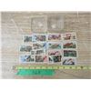 Image 1 : (16) Dinosaurs Red Rose Tea Crads