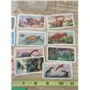 Image 3 : (16) Dinosaurs Red Rose Tea Crads