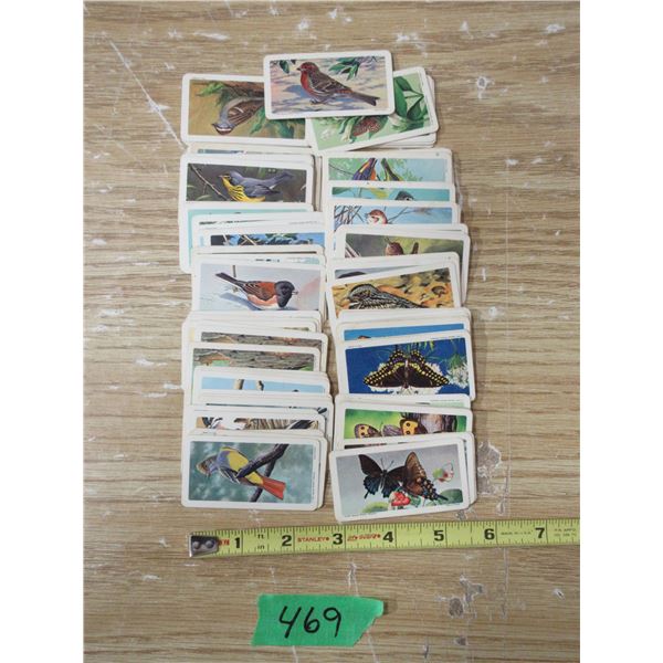 Canadian /American Song Birds (76) ButterFlies of North America (33)  Red RoseTea Book