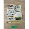 Image 2 : Canadian /American Song Birds (76) ButterFlies of North America (33)  Red RoseTea Book