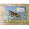 Image 2 : Butterflies of North America Red Nose Tea Booklet (Complete)