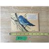 Image 3 : Canadian-American Song Birds Brooke Bond Album (Complete)