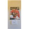 Image 1 : Quinn Hughes Card