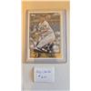 Image 1 : Yu Darvish Flagship Card