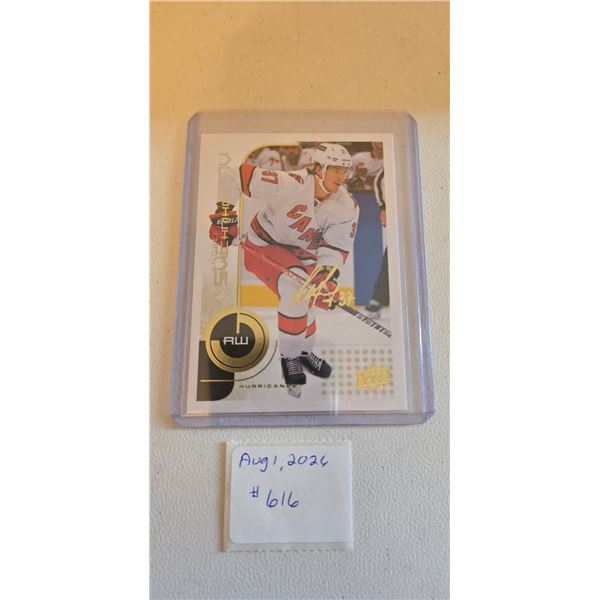 Andrei Svechnikov Card