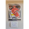 Image 1 : Dylan Larkin Card