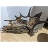 Image 1 : Carved antler on driftwood Art