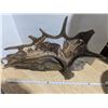 Image 4 : Carved antler on driftwood Art