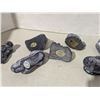 Image 3 : 7 stone carvings - seals and otters