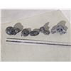 Image 2 : 5 stone carvings - owls