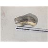 Image 2 : 1 stone carving - walrus