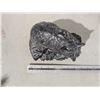 Image 2 : 1 stone carving - racoon