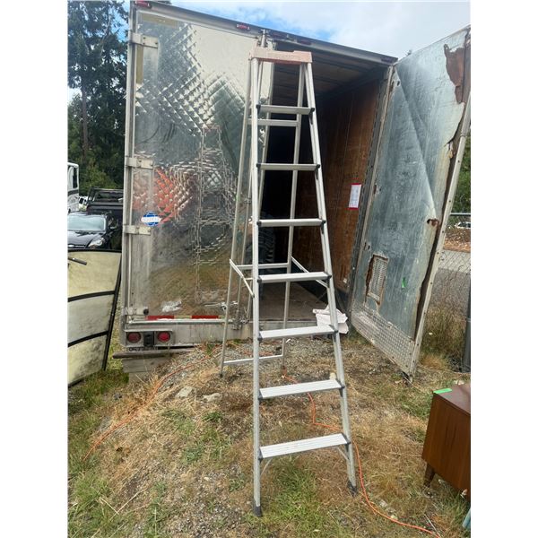 Werner D6216 Aluminum Extension Ladder