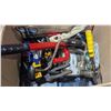 Image 4 : Assorted Tools: Sander, Wheel Lock, Snips, Painting Kit, & More