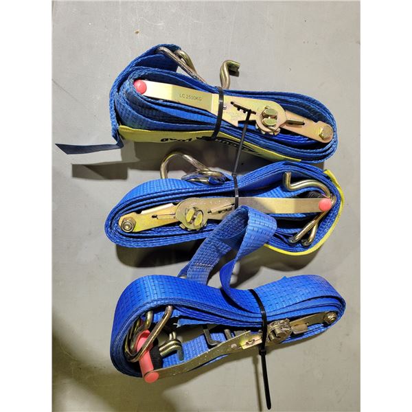 3 2500 KG Load Capacity Tie Down Straps