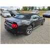 Image 10 : DUNCAN - 2017 FORD MUSTANG BLACK 133073 KMS - 318214-4