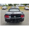 Image 12 : DUNCAN - 2017 FORD MUSTANG BLACK 133073 KMS - 318214-4