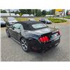 Image 14 : DUNCAN - 2017 FORD MUSTANG BLACK 133073 KMS - 318214-4