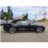 Image 7 : DUNCAN - 2017 FORD MUSTANG BLACK 133073 KMS - 318214-4