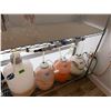 Image 7 : Shelving Unit w/ Lights, Tubing & Flow Meters