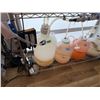 Image 8 : Shelving Unit w/ Lights, Tubing & Flow Meters