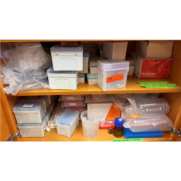 Multiple Laboratory Storage:  Plastic Storage Containers, Centrifuge Tubes, Petri Dishes, etc