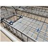 Image 5 : MK Aquarium Aquaculture/Aquaponics Tank Approx. 32.8' L x 7.5' W
