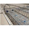 Image 9 : MK Aquarium Aquaculture/Aquaponics Tank Approx. 32.8' L x 7.5' W