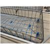 Image 3 : MK Aquarium Aquaculture/Aquaponics Tank Approx. 32.8' L x 7.5' W