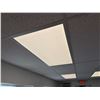 Image 29 : 20' x 11'6" Extra-Wide Commercial Lab/Office Building - 2023 Cost $55,225