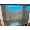 Image 10 : Esco Laminar Flow Cabinet, 2024 Cost $6,500